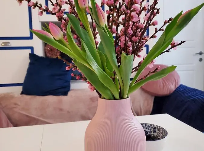 Vintage In The Centre Old Town 아파트